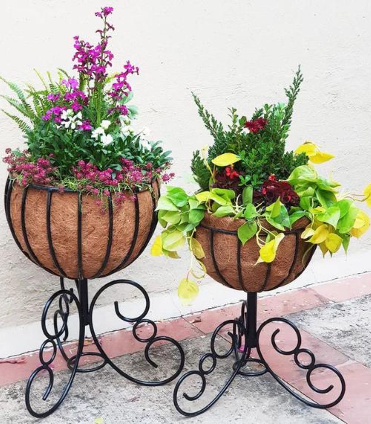 Planters with Iron Frame